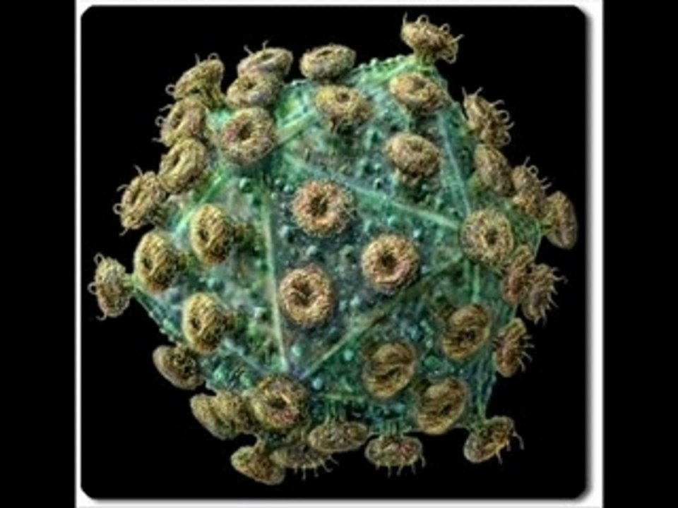 Joe Guitar (Funny)  - DJ Saddam By DJ Nilo