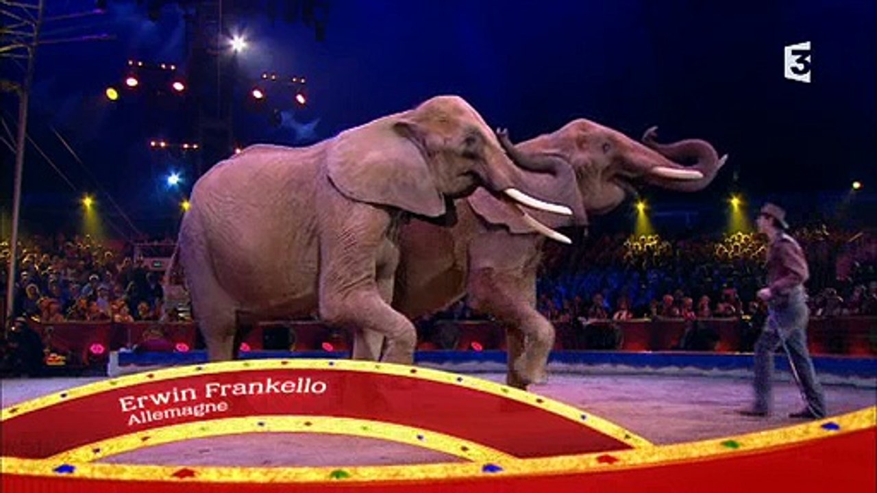 La colère de "30 Millions d'amis contre France 3 après la diffusion hier soir en prime du Cirque de Monte Carlo