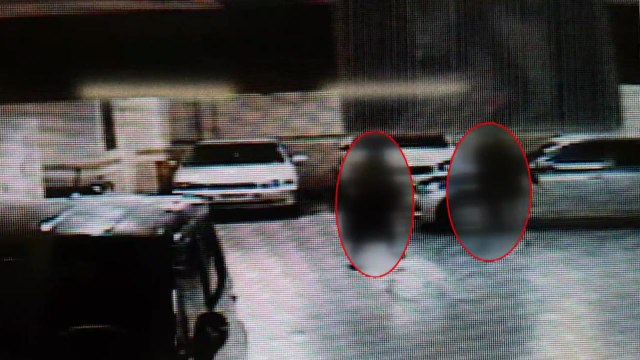 남자 생겼지 무차별 폭행 20대 영장 신청 / YTN