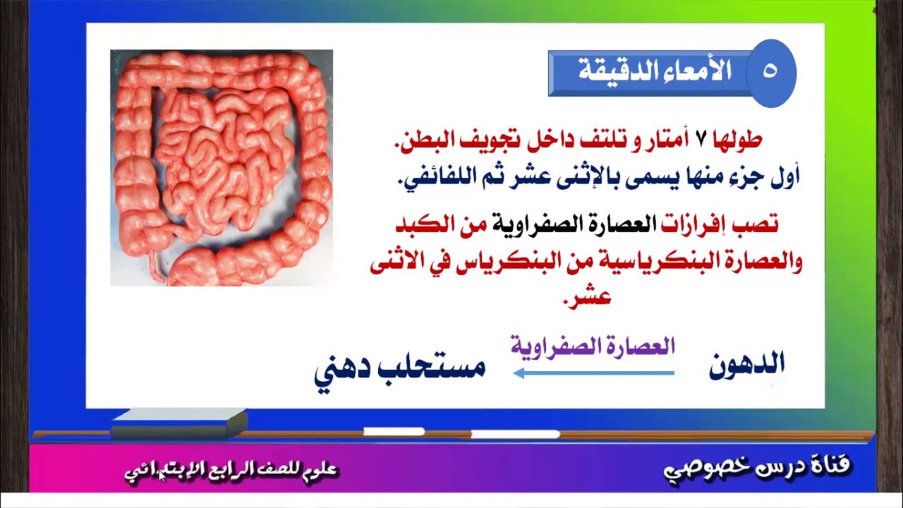 العلوم للصف الرابع الابتدائى تيرم ثان { 02 } استكمال الدرس الأول الجهاز الهضمي فى الإنسان