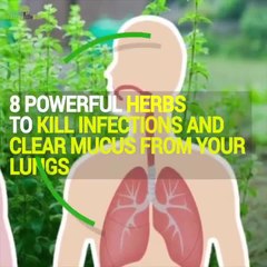 Kill Infections And Clear Mucus From Your Lungs