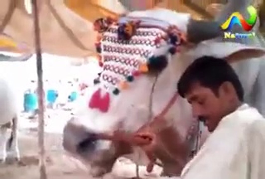 Karachi Mandi