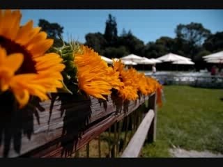 Cheb hasni -  top sentimental