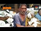 Tezabi Totay Bakra Eid All Funny Special Funny Punjabi Totay 2016 - YouTube