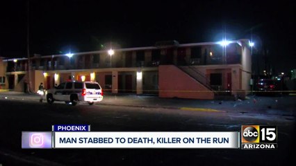 Man stabbed to death near Phoenix hotel, suspect on the run