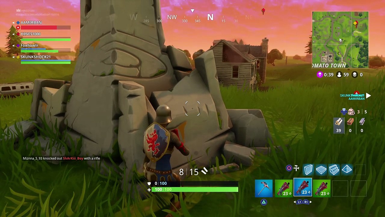 Fortnite_20171226053049