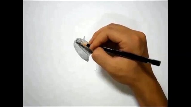 30분 연필그림(붓꽃)그리기 - PENCIL DRAWING