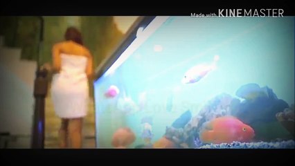 WhatsApp Status Pizza Boy Romance High Society Girl Freedom 2017