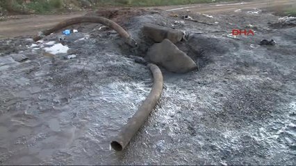 Tuzla'da Panik Yaratan Koku: Çalışma Yapılan Yerlerin Gündüz Görüntüsü