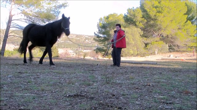 Challenge 2 Agate & julie Tu me fais tourner la tête