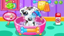 kid dog - bingo dog song - nursery rhyme with lyrics - cartoon animation for ch