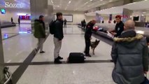 Hollanda'daki köpekli aramaya Atatürk Havalimanı'nda karşılık verildi