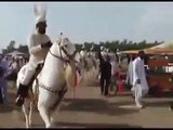 Sahibzada Sultan Muhammad Ali ♦ M.H Sultania Awan Horse Neza Baaz Club