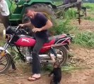 Ce singe tape une crise parce qu'il n'a pas le droit de grimper sur la moto