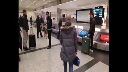 Hollanda'da köpekli aramaya Atatürk Havalimanı'nda böyle karşılık verildi