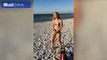Thả dáng trên bãi biển cho chim ăn, cô gái bị đàn mòng biển lao vào cướp luôn cả...bikini đi mất