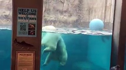Hope and Nora Bear at Utah`s Hogle Zoo