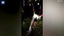 Missing Person Found Inside Python By Villagers