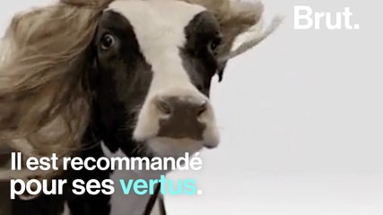 Faut-il continuer à boire du lait ?