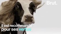 Faut-il continuer à boire du lait ?