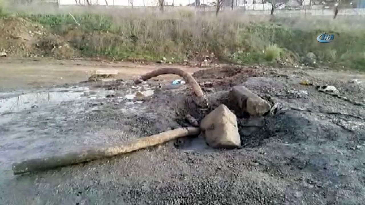 Tuzla'daki koku ile ilgili araştırmalar sürdürülüyor