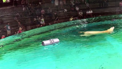 L'ours polaire du zoo de Singapour fête ses 27 ans