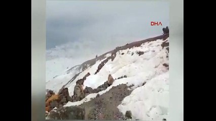 Kahraman Mehmetçik zor hava şartlarında bile teröristlere geçit vermiyor