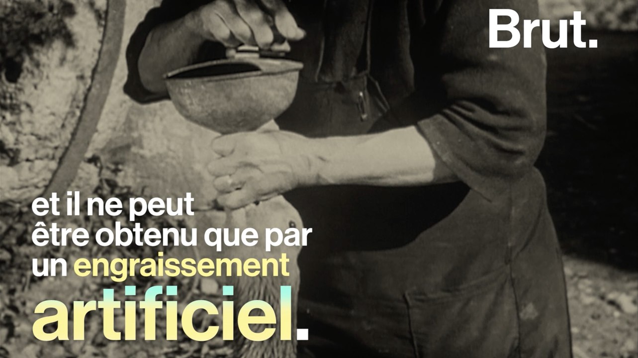 Le foie gras, l'un des aliments les plus controversés au monde