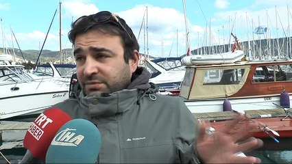 Bodrum Limanı'nda Akdeniz Foku görüntülendi
