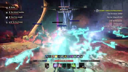 DonAleszandro The Elder Scrolls «-Veteranen Dunkelschattenkavernen 1 mit Don Animal Guard-» (557)