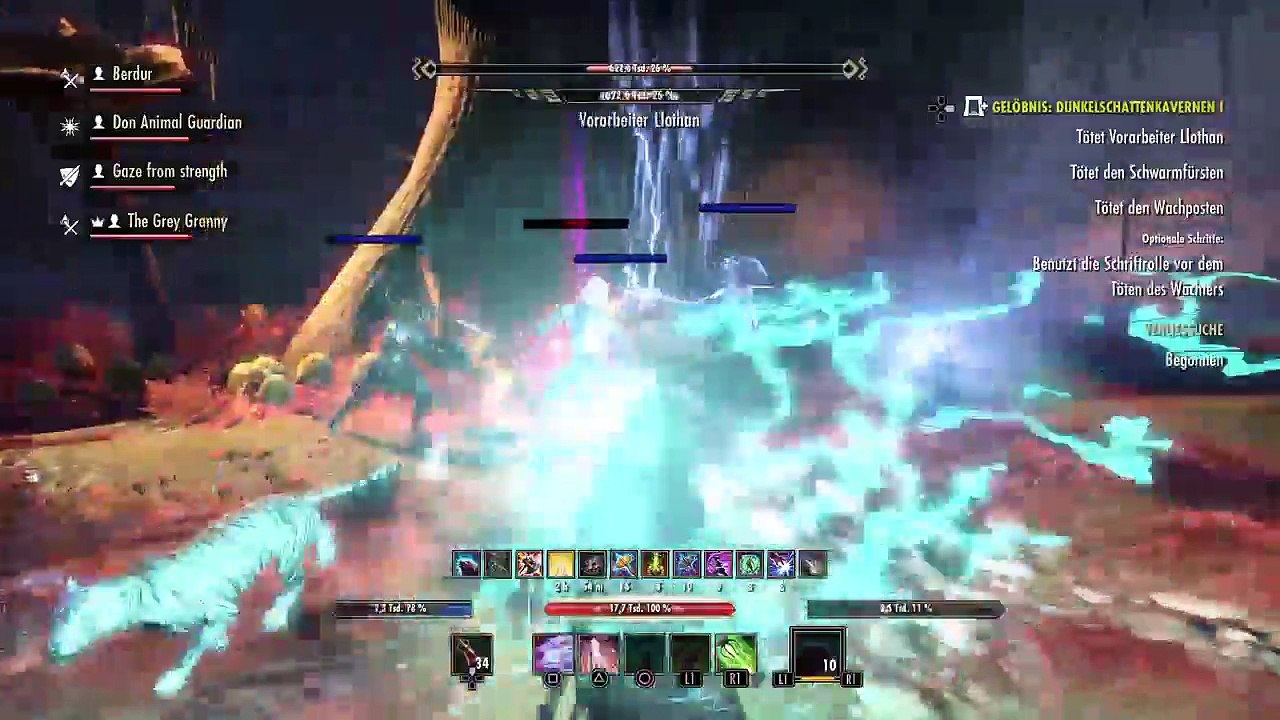 DonAleszandro The Elder Scrolls «-Veteranen Dunkelschattenkavernen 1 mit Don Animal Guard-» (557)