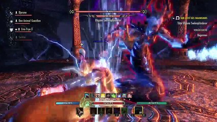 DonAleszandro The Elder Scrolls «-Kammern des Wahnsinns mit Don Animal Guard-» (558)