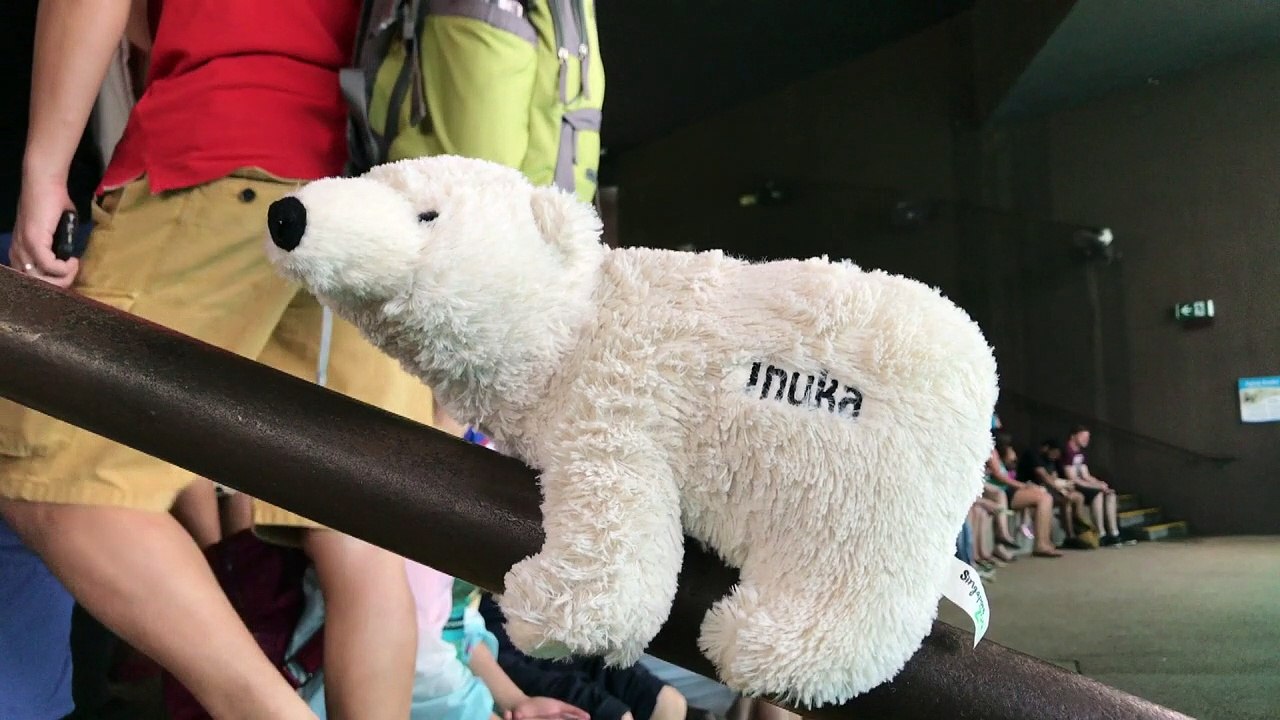Festa para Inuka