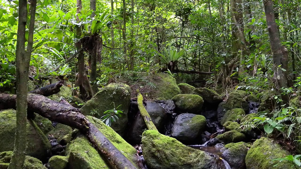 Top 5 Least Explored Places On Earth