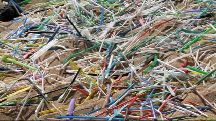 Seattle battles plastic straws to save the oceans