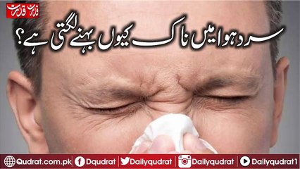 Why does the nose fall in cold air
