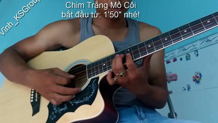 Chim Trắng Mồ Côi guitar bolero chachacha disco và slow