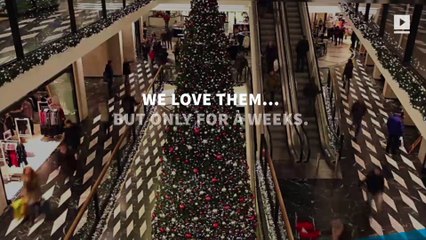 What to Do With Your Christmas Tree After the Holidays?