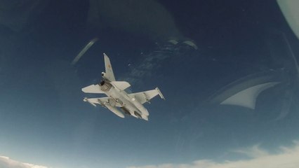 Opération Desert Falcon