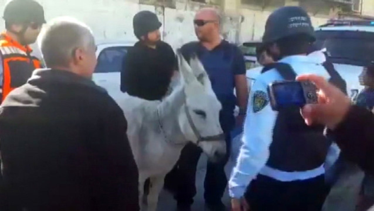 İsrail Eşeğe Bile El Koydu