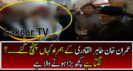 Imran Khan & Tahir Ul Qadri Going to Crushed Sharif Mafia