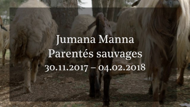 Jumana Manna - Exposition Jeu de Paume hors les murs