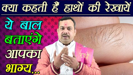 Palm Reading: उँगलियों के ये बाल बताएंगे आपका भाग्य | Hair on knuckles | Boldsky