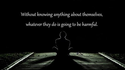 How Can I Come Out Of Self Destruction