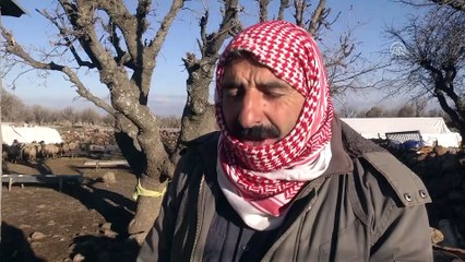 Göçerler 'yayla yolunun' açılmasından mutlu - DİYARBAKIR