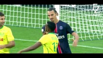 Zlatan Ibrahimovic - Bad Boy ● Crazy Moments