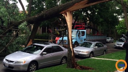 Ces photos de personnes vraiment chanceuses, la preuve en photos !