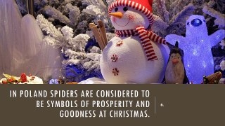 Top 10 Christmas Facts | By DailyDot
