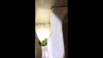 Home Inspector San Antonio, TX Bathroom Inspection