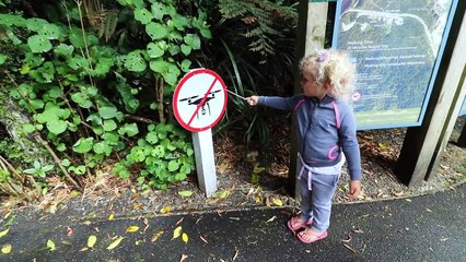 Tiny Home = Tiny Xmas Tree | Bus Life NZ | Episode 83